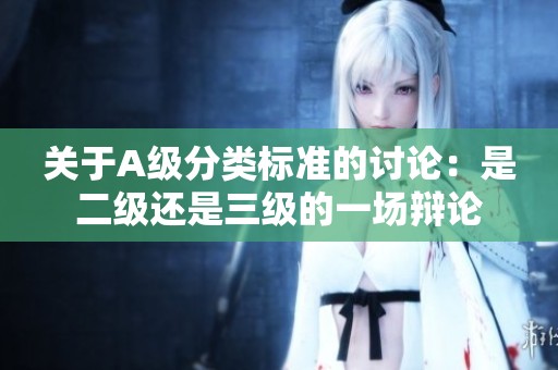 关于A级分类标准的讨论：是二级还是三级的一场辩论