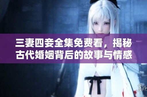 三妻四妾全集免费看，揭秘古代婚姻背后的故事与情感纠葛