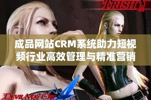 成品网站CRM系统助力短视频行业高效管理与精准营销
