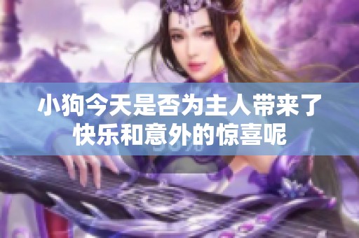 小狗今天是否为主人带来了快乐和意外的惊喜呢