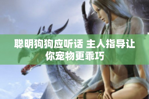 聪明狗狗应听话 主人指导让你宠物更乖巧
