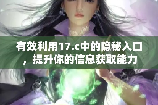 有效利用17.c中的隐秘入口，提升你的信息获取能力