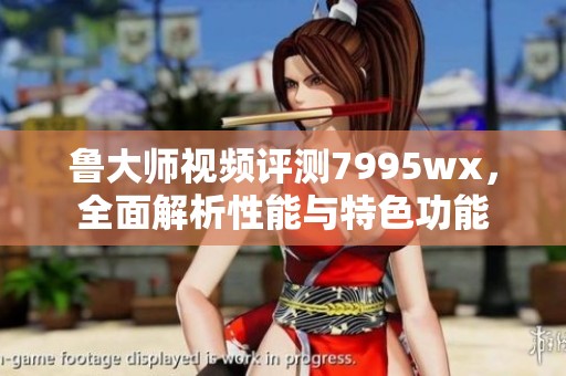 鲁大师视频评测7995wx，全面解析性能与特色功能