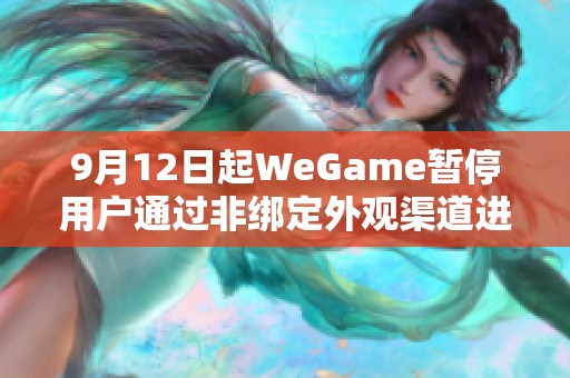 9月12日起WeGame暂停用户通过非绑定外观渠道进行购买 9月12日起WeGame暂停用户通过非绑定外观渠道进行购买