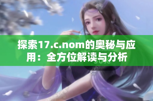 探索17.c.nom的奥秘与应用：全方位解读与分析