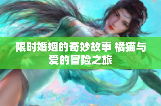限时婚姻的奇妙故事 橘猫与爱的冒险之旅