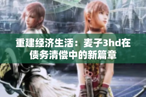 重建经济生活：麦子3hd在债务清偿中的新篇章