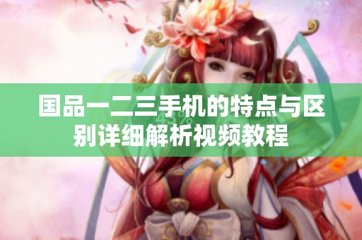 国品一二三手机的特点与区别详细解析视频教程