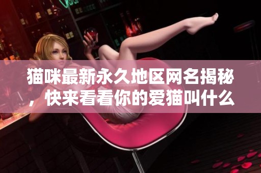 猫咪最新永久地区网名揭秘，快来看看你的爱猫叫什么！