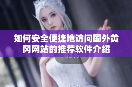 如何安全便捷地访问国外黄冈网站的推荐软件介绍