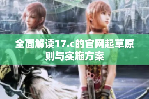 全面解读17.c的官网起草原则与实施方案