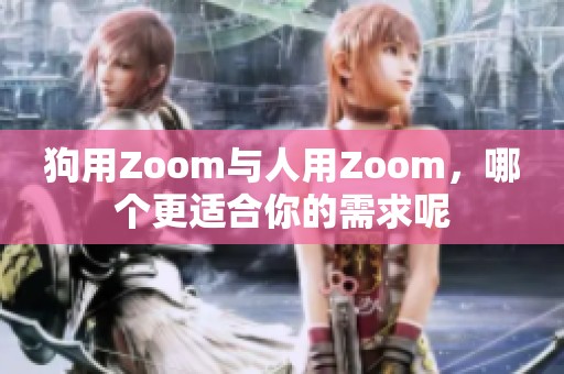 狗用Zoom与人用Zoom，哪个更适合你的需求呢