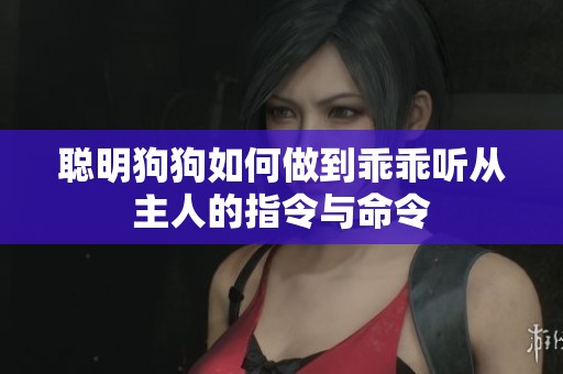 聪明狗狗如何做到乖乖听从主人的指令与命令