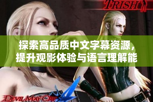 探索高品质中文字幕资源，提升观影体验与语言理解能力