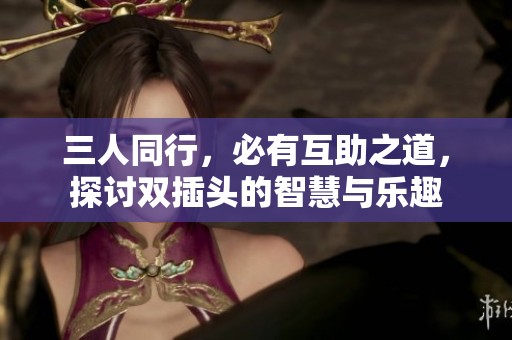 三人同行，必有互助之道，探讨双插头的智慧与乐趣