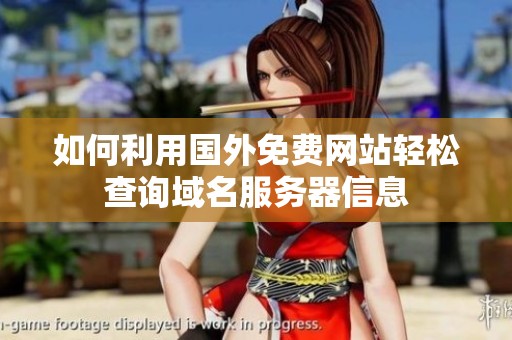 如何利用国外免费网站轻松查询域名服务器信息