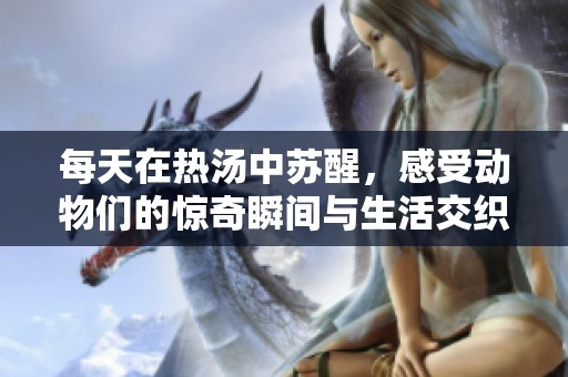 每天在热汤中苏醒，感受动物们的惊奇瞬间与生活交织