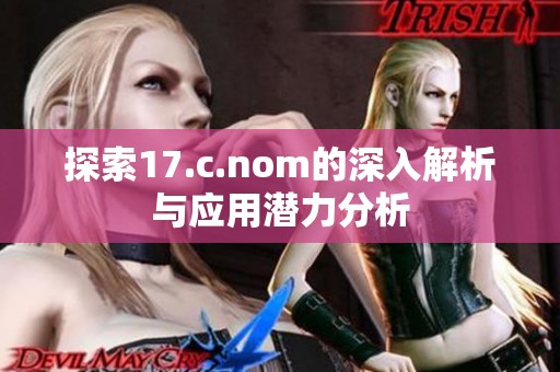 探索17.c.nom的深入解析与应用潜力分析