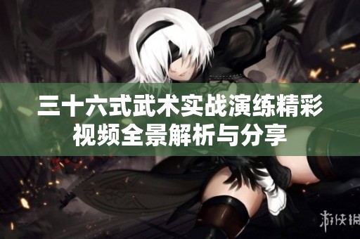 三十六式武术实战演练精彩视频全景解析与分享