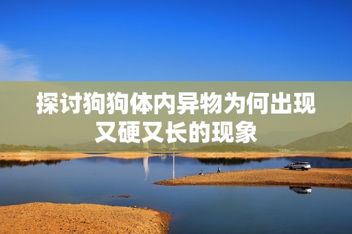 探讨狗狗体内异物为何出现又硬又长的现象