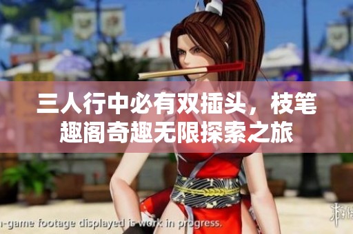 三人行中必有双插头，枝笔趣阁奇趣无限探索之旅
