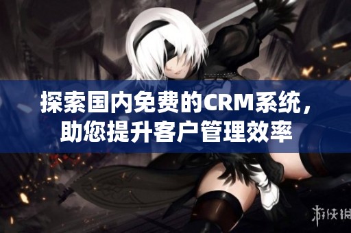 探索国内免费的CRM系统，助您提升客户管理效率