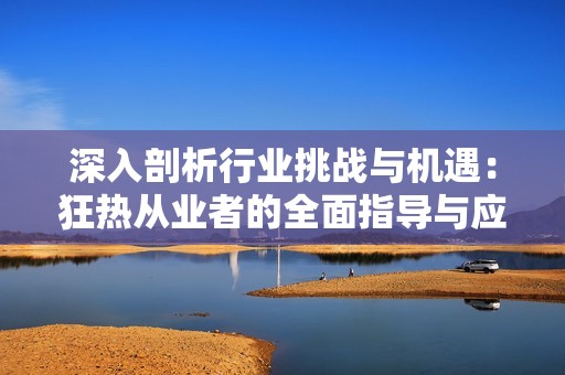 深入剖析行业挑战与机遇：狂热从业者的全面指导与应对策略