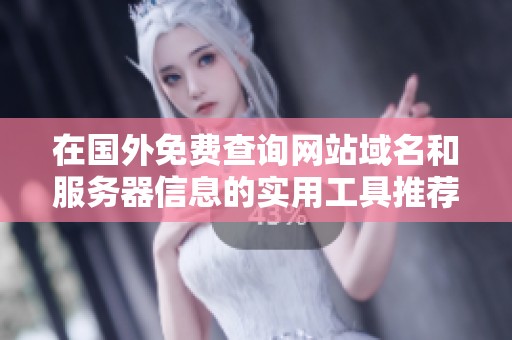 在国外免费查询网站域名和服务器信息的实用工具推荐