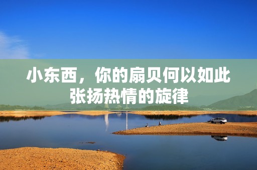 小东西，你的扇贝何以如此张扬热情的旋律