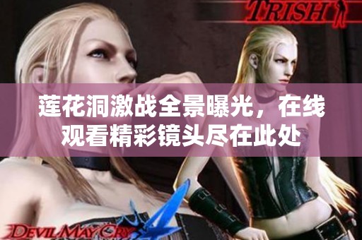 莲花洞激战全景曝光，在线观看精彩镜头尽在此处