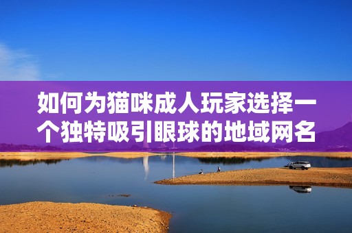 如何为猫咪成人玩家选择一个独特吸引眼球的地域网名