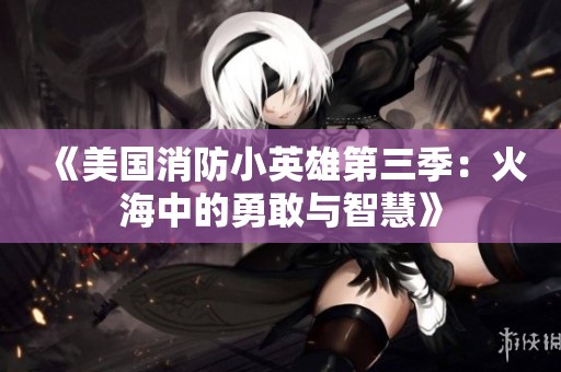 《美国消防小英雄第三季：火海中的勇敢与智慧》