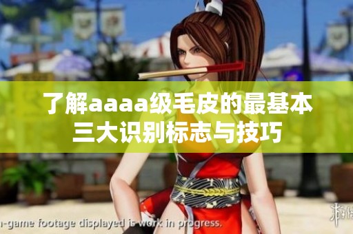 了解aaaa级毛皮的最基本三大识别标志与技巧