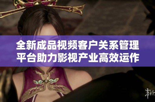 全新成品视频客户关系管理平台助力影视产业高效运作