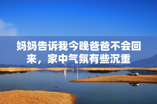 妈妈告诉我今晚爸爸不会回来，家中气氛有些沉重