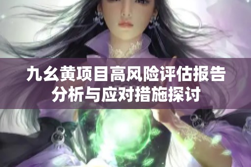 九幺黄项目高风险评估报告分析与应对措施探讨