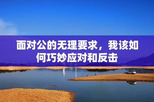 面对公的无理要求，我该如何巧妙应对和反击