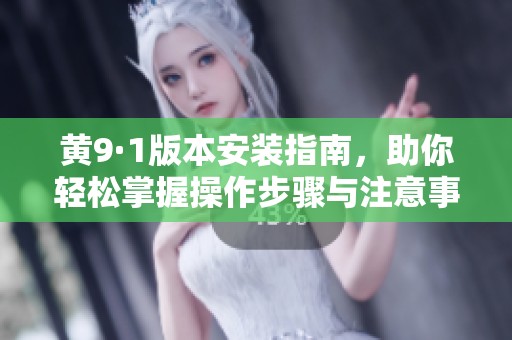 黄9·1版本安装指南，助你轻松掌握操作步骤与注意事项
