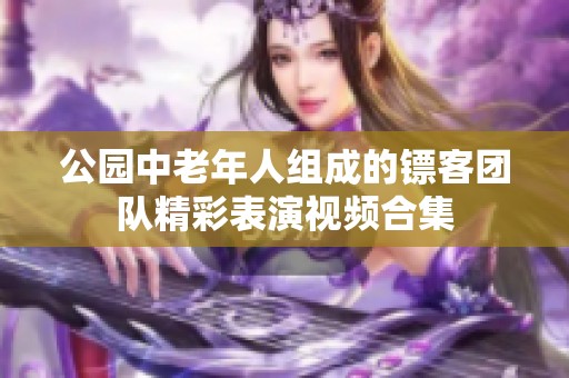 公园中老年人组成的镖客团队精彩表演视频合集