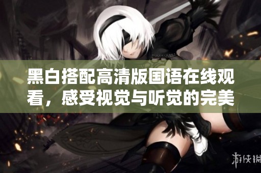 黑白搭配高清版国语在线观看，感受视觉与听觉的完美融合