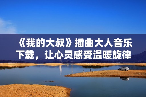 《我的大叔》插曲大人音乐下载，让心灵感受温暖旋律
