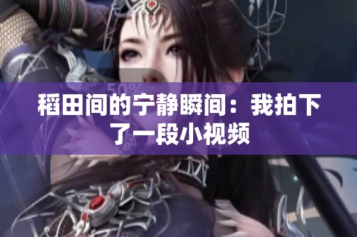 稻田间的宁静瞬间：我拍下了一段小视频