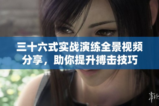 三十六式实战演练全景视频分享，助你提升搏击技巧