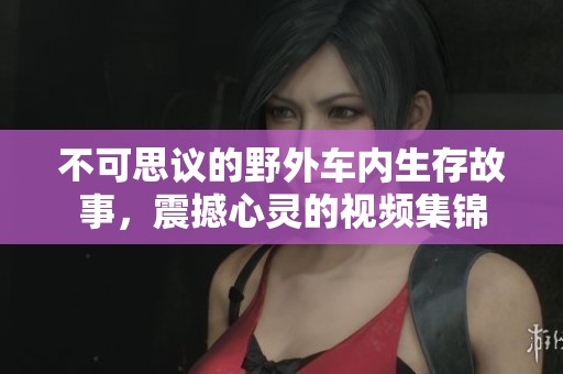 不可思议的野外车内生存故事，震撼心灵的视频集锦