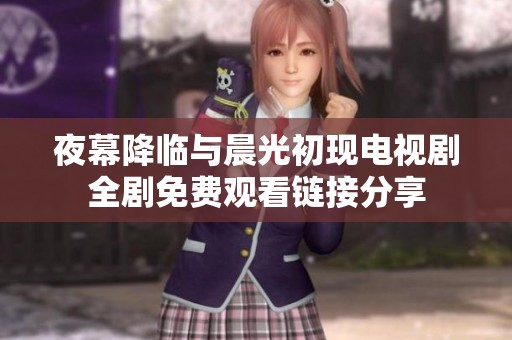 夜幕降临与晨光初现电视剧全剧免费观看链接分享