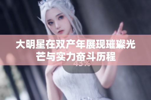 大明星在双产年展现璀璨光芒与实力奋斗历程