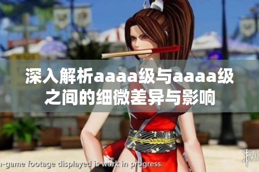 深入解析aaaa级与aaaa级之间的细微差异与影响
