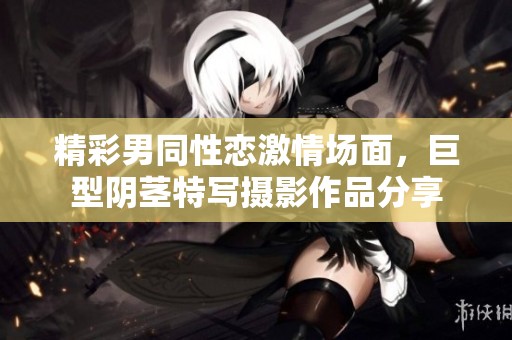 精彩男同性恋激情场面，巨型阴茎特写摄影作品分享