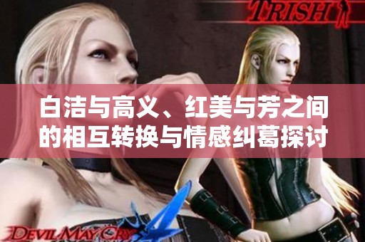 白洁与高义、红美与芳之间的相互转换与情感纠葛探讨