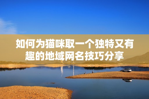 如何为猫咪取一个独特又有趣的地域网名技巧分享